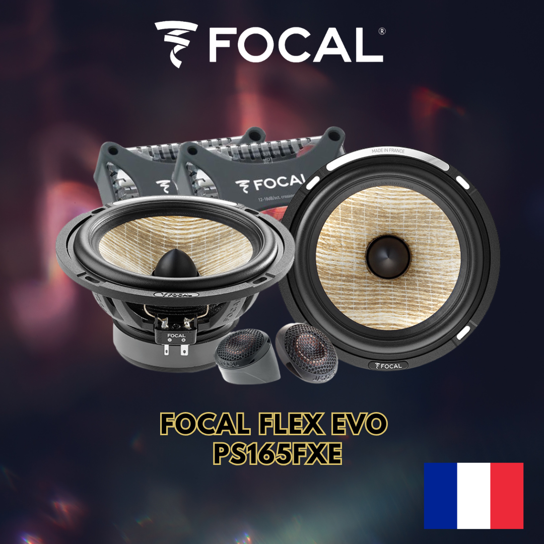 Focal Flex Evo  Ps165FXE