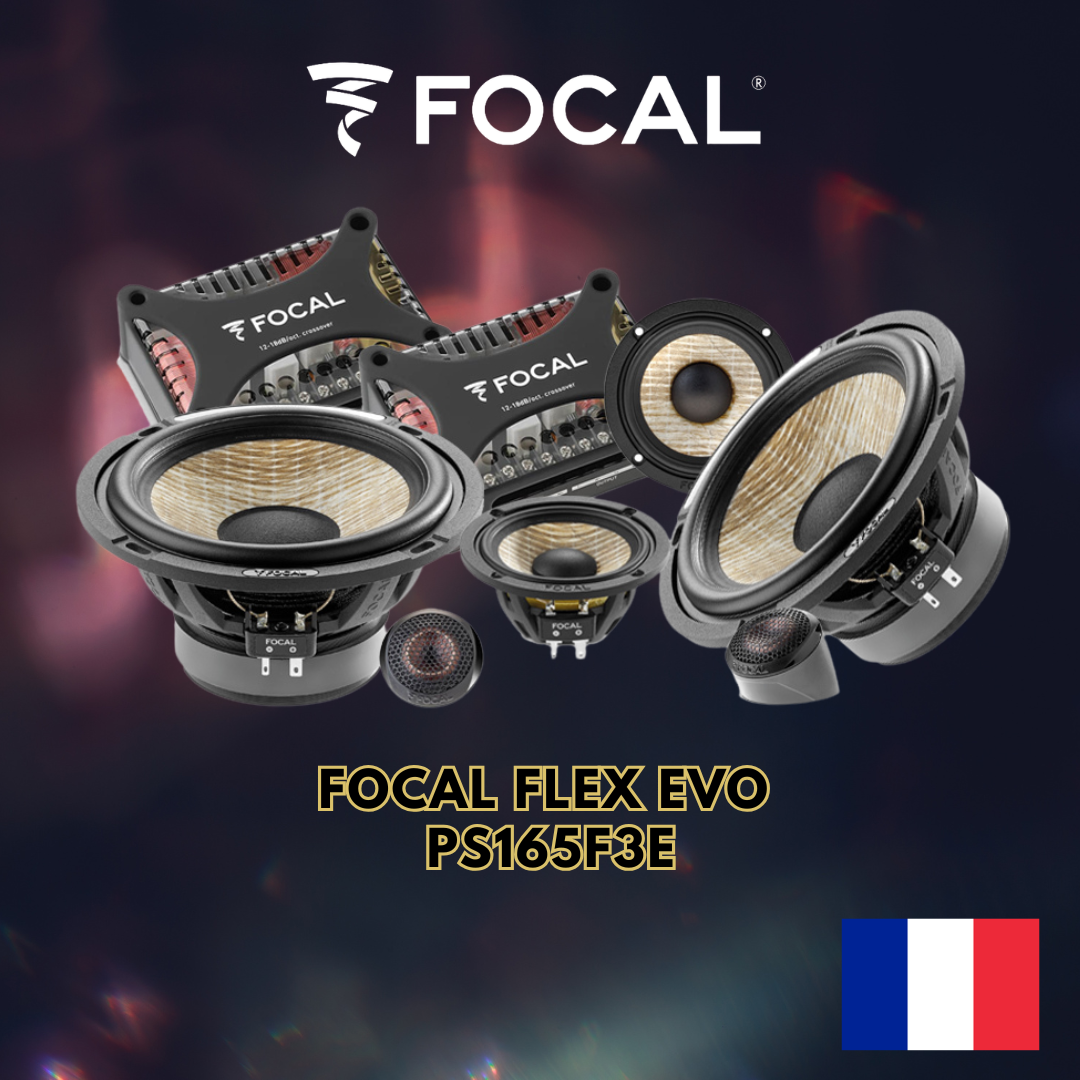 Focal Flex Evo  Ps165F3E